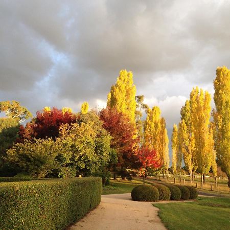 Glen Waverly Farmstay Глен-Иннес Экстерьер фото