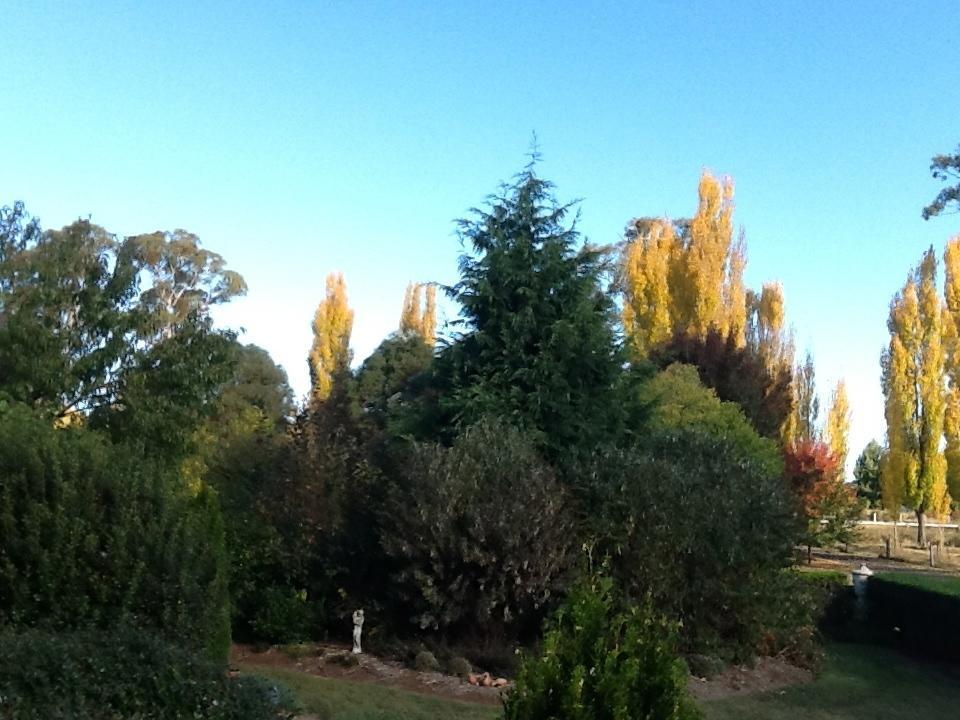 Glen Waverly Farmstay Глен-Иннес Номер фото