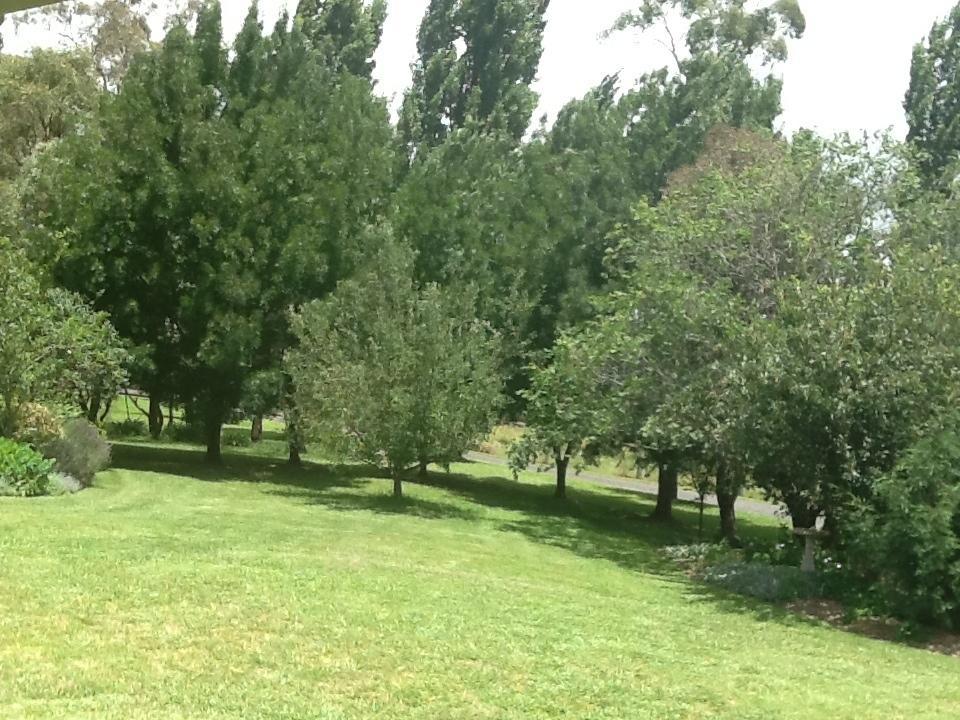 Glen Waverly Farmstay Глен-Иннес Номер фото