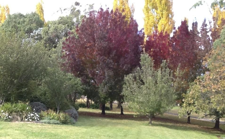 Glen Waverly Farmstay Глен-Иннес Номер фото