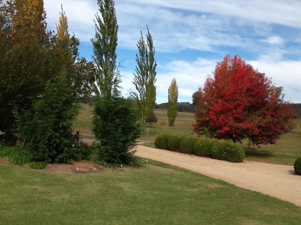 Glen Waverly Farmstay Глен-Иннес Номер фото